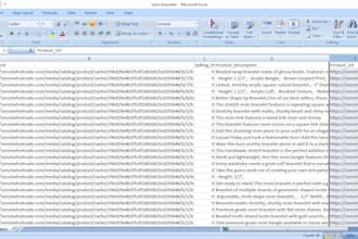 data entry ,update , compare and clean csv and excel file using python