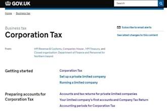 prepare and submit accounts to hmrc and companies house accurately