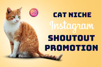 do instagram shoutout promotion on 147k cat page