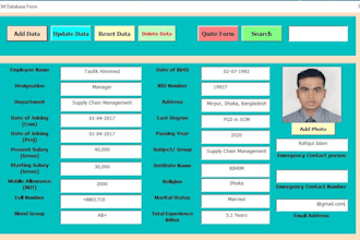 make attractive excel data entry form for you