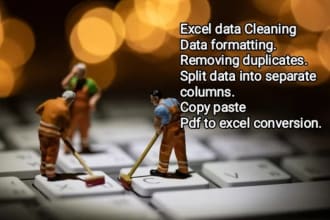 do excel data cleaning, data formatting, urgent data entry