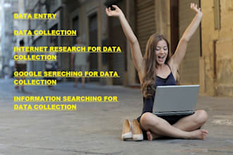 do data entry and collect internet research