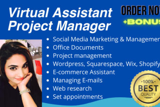 virtual assistant project manager for your administrator tasks