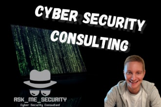 provide cyber security consulting