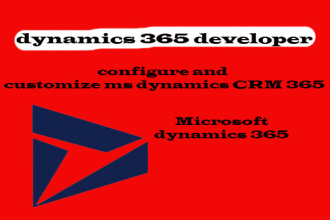 provide you hourly microsoft dynamics 365 consultancy