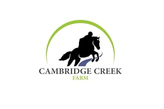 design unique horse racing logo with fastest delivery