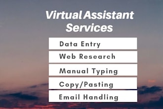 be your virtual assistant for data entry