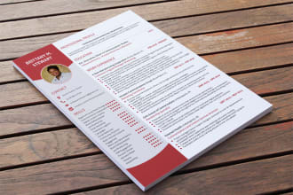 provide professional resume writing service