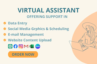be your proficient virtual assistant