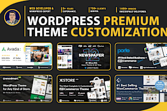 do wordpress premium theme customization in 24 hours