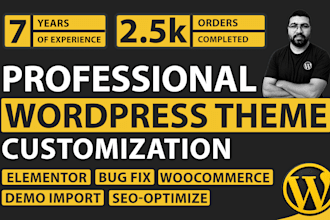 customize your wordpress premium theme professionally