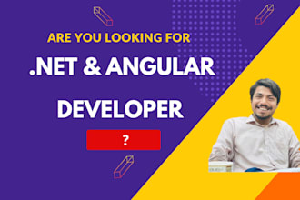 create website in dotnet and angular
