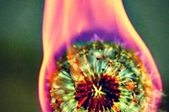 write an analysis paper on any classic novel