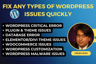 fix any wordpress errors or issues quickly