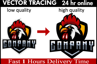 vectorize logo or raster any image to vector quickly
