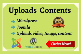 upload content to your wordpress site in 24 hours