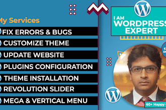 fix errors edit wordpress website install configure plugin