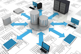 develop microsoft, phpmyadmin or mysql database