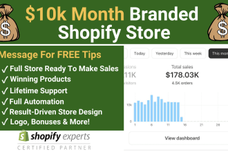 build a high converting dropshipping shopify store website