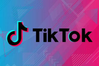 professionally manage your tiktok account