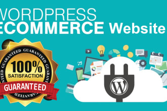 build a professional wordpress ecommerce website