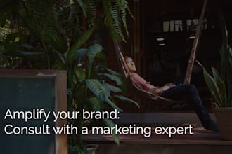 audit your brand and build a marketing and ad strategy