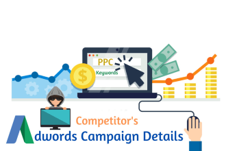 provide your competitors google adwords PPC campaign details