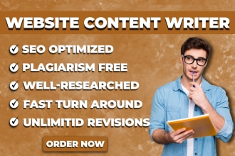do catchy website content writing or be your SEO website content writer