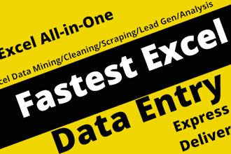do fastest and accurate data entry microsoft excel expert VA pa