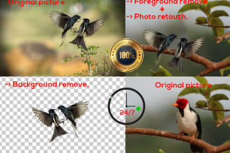 remove background and object manually in 2hours