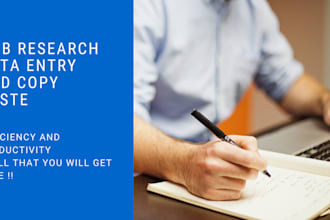 do 3 hours of complete web research , copy paste and data entry