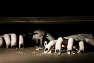 write real and unheard horror scary stories