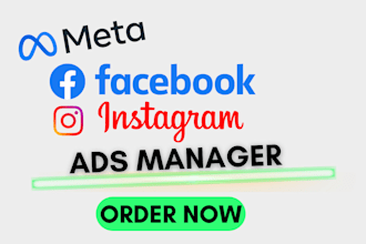 setup and manage facebook and instagram meta ads