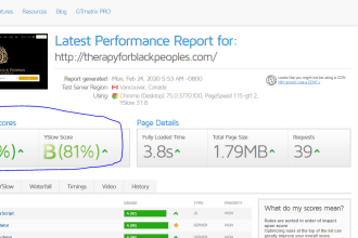 optimize and  speed up wordpress site professionally
