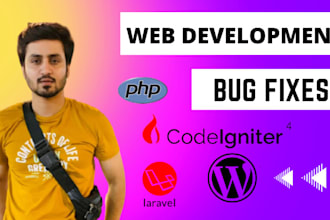 fix or develop web application in codeigniter or  core PHP