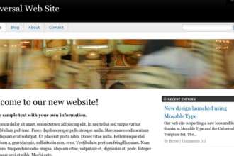 design/develop your website