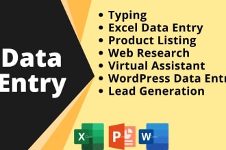 do excel data entry, copy paste, typing, web research