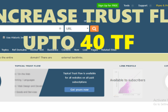 increase majestic trust flow upto tf 40 increase domain rating DR