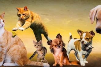 guest post on my active UK pet store blog
