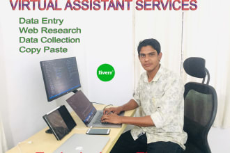 be your virtual assistant for data entry, web research, excel and copy paste
