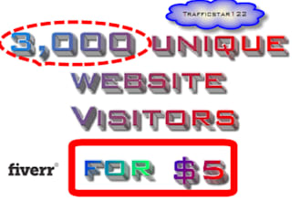 send 3,000 real unique humans visit your website to boost your website TRAFFIC