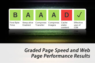 quickly Provide a Detailed Website Marketing and Speed Analytics Assessment for Your Website or Blog