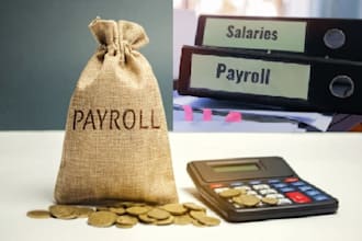 prepare payslips, earnings statement, irs w2, w3 froms