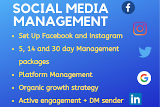 be your strategic social media manager