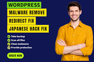 clean wordpress malwares, backdoor, hacks, provide security within 1 day