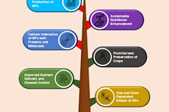 create professional flow chart and diagrams