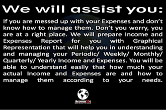 prepare formulated income and expenses report in excel