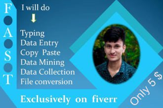 complete any type of online and offline data entry or a copy paste job