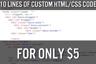 edit your WEBSITE with up to 10 lines of custom html css code