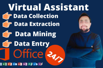 virtual assistant for data entry in less than 24 hours